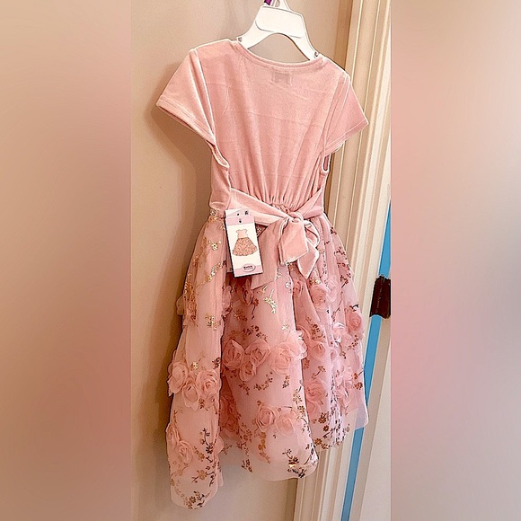 NWT BlueBeri Pink Layered dress, silver/gold accents, rows of flowers - Picture 4 of 11